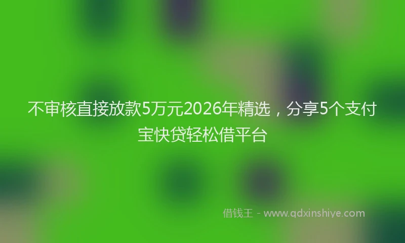 不审核直接放款5万元2026年精选，分享5个支付宝快贷轻松借平台
