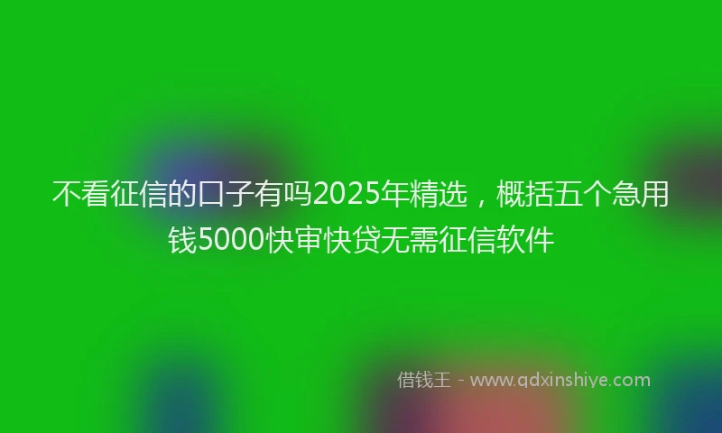 不看征信的口子有吗2025年精选，概括五个急用钱5000快审快贷无需征信软件