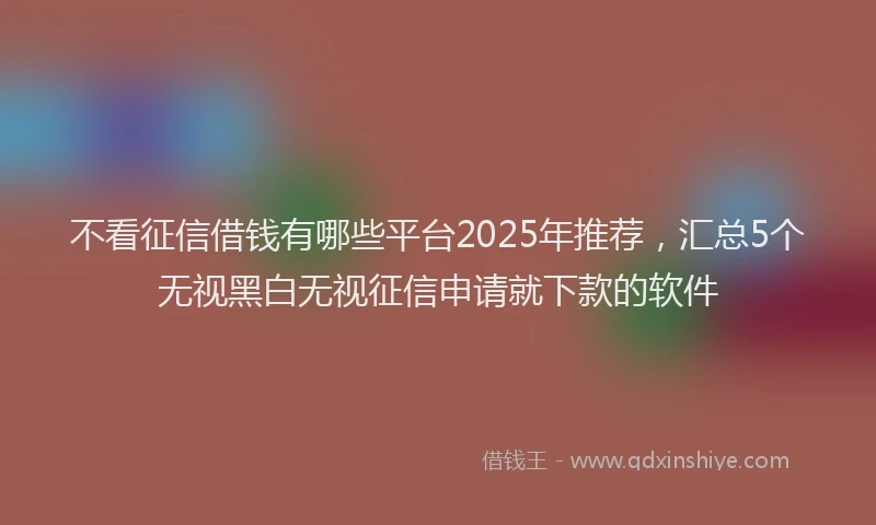 不看征信借钱有哪些平台2025年推荐，汇总5个无视黑白无视征信申请就下款的软件
