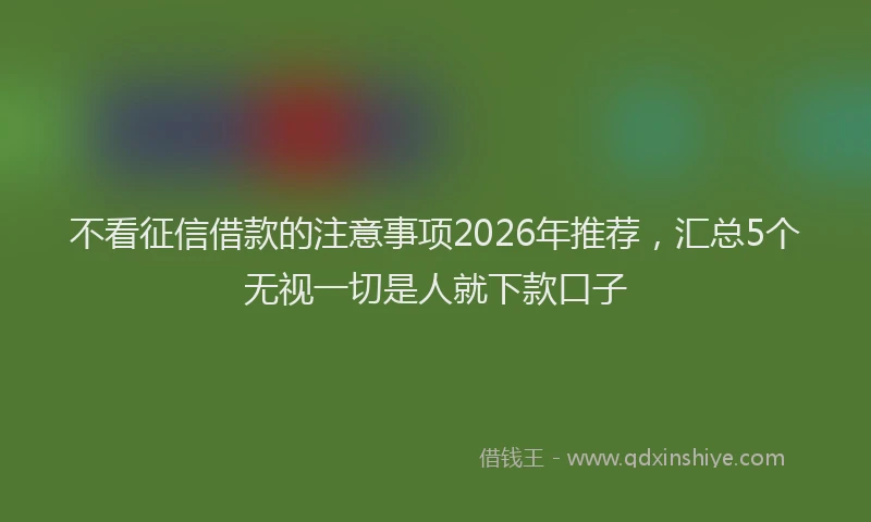 不看征信借款的注意事项2026年推荐，汇总5个无视一切是人就下款口子