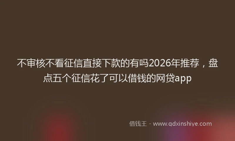 不审核不看征信直接下款的有吗2026年推荐，盘点五个征信花了可以借钱的网贷app
