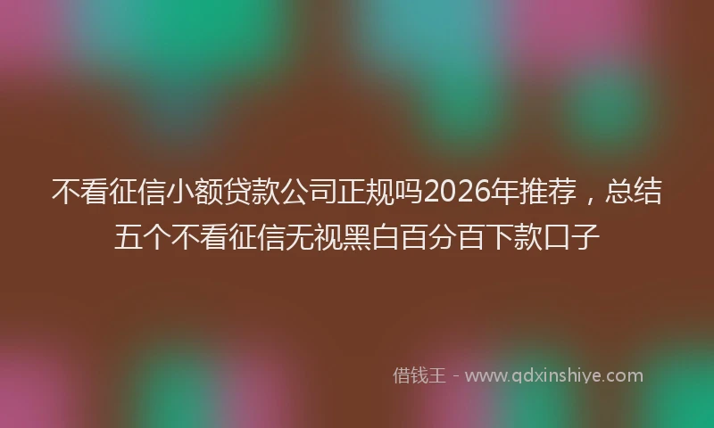 不看征信小额贷款公司正规吗2026年推荐,总结五个不看征信无视黑白百分百下款口子
