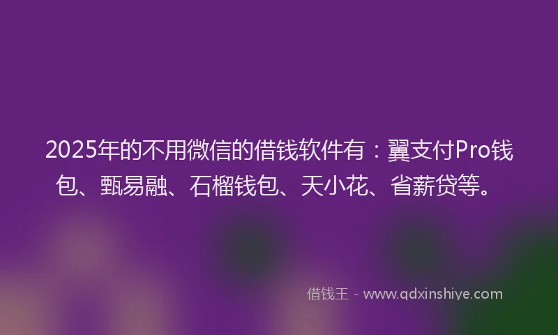 2025年的不用微信的借钱软件有：翼支付Pro钱包、甄易融、石榴钱包、天小花、省薪贷等。