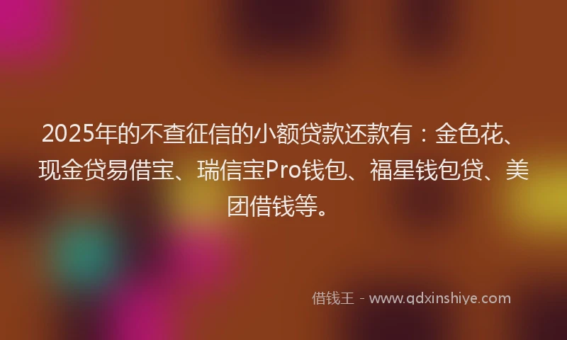 2025年的不查征信的小额贷款还款有：金色花、现金贷易借宝、瑞信宝Pro钱包、福星钱包贷、美团借钱等。