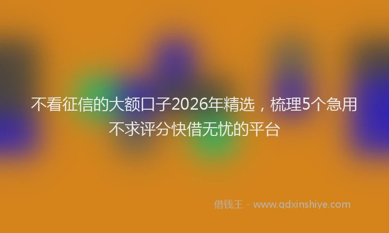 不看征信的大额口子2026年精选，梳理5个急用不求评分快借无忧的平台