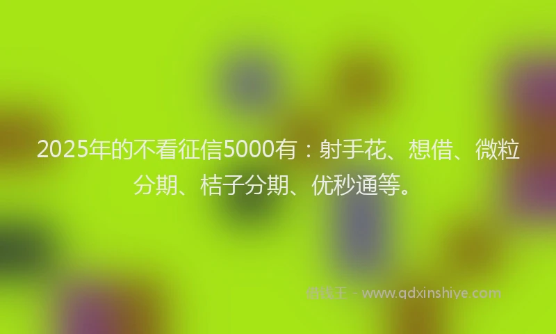 2025年的不看征信5000有:射手花、想借、微粒分期、桔子分期、优秒通等。
