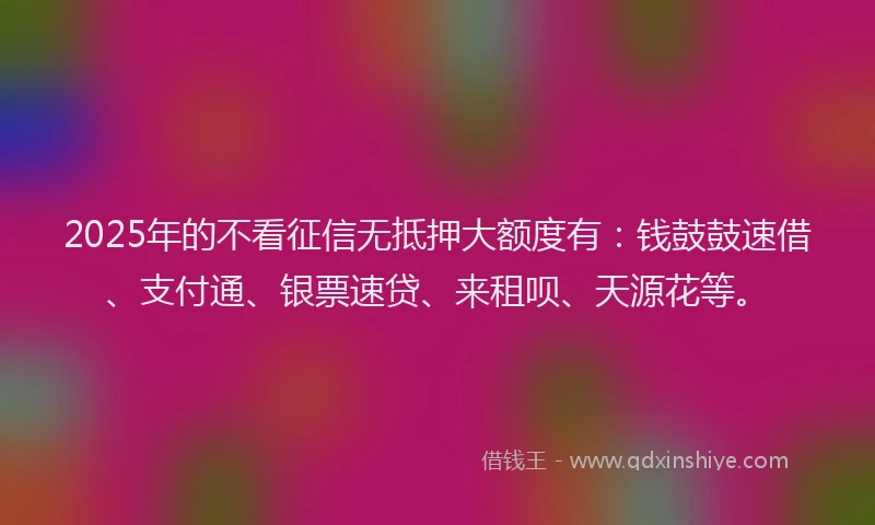 2025年的不看征信无抵押大额度有：钱鼓鼓速借、支付通、银票速贷、来租呗、天源花等。