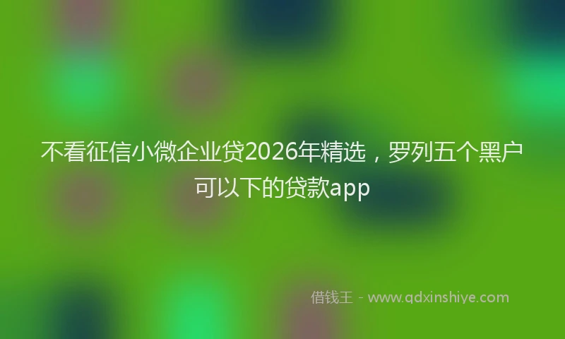 不看征信小微企业贷2026年精选，罗列五个黑户可以下的贷款app