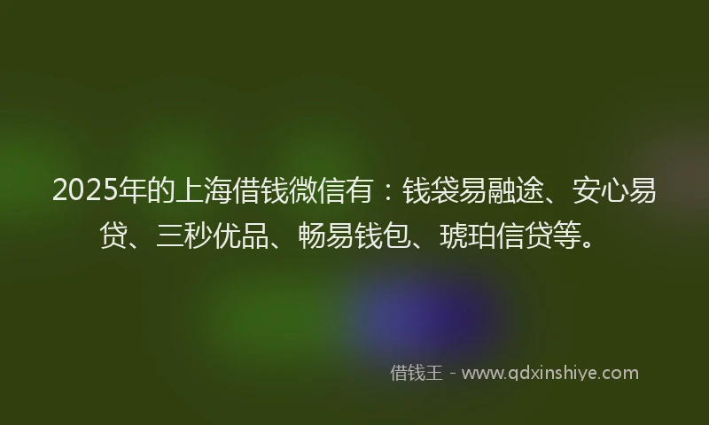 2025年的上海借钱微信有：钱袋易融途、安心易贷、三秒优品、畅易钱包、琥珀信贷等。