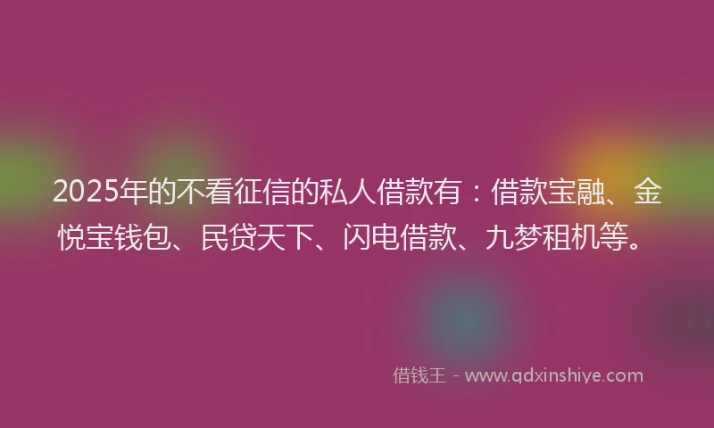 2025年的不看征信的私人借款有：借款宝融、金悦宝钱包、民贷天下、闪电借款、九梦租机等。