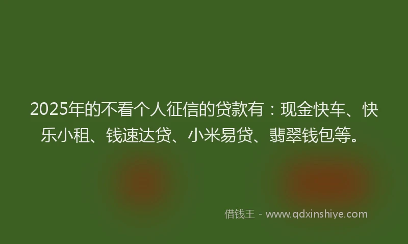2025年的不看个人征信的贷款有：现金快车、快乐小租、钱速达贷、小米易贷、翡翠钱包等。
