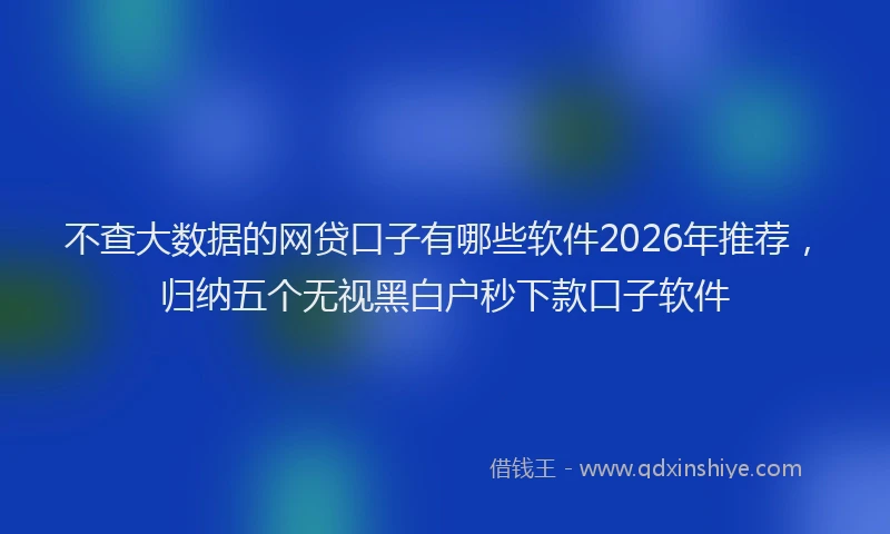 不查大数据的网贷口子有哪些软件2026年推荐，归纳五个无视黑白户秒下款口子软件