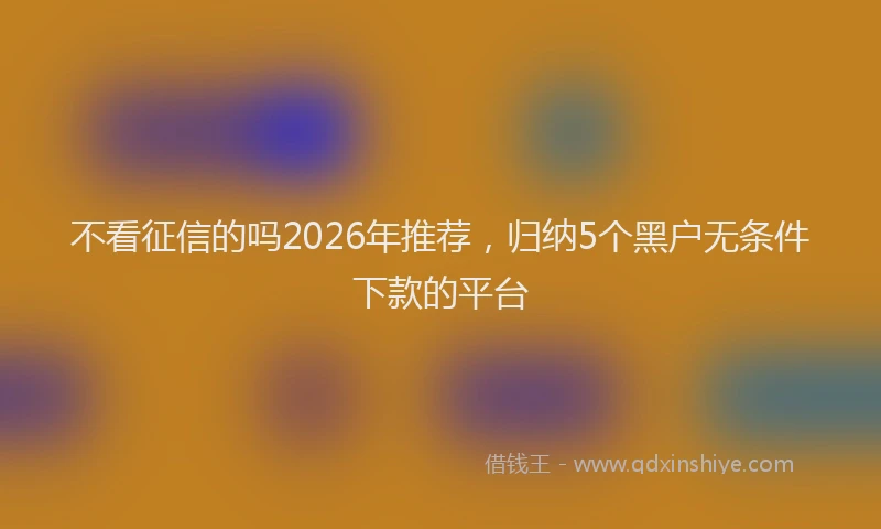 不看征信的吗2026年推荐，归纳5个黑户无条件下款的平台