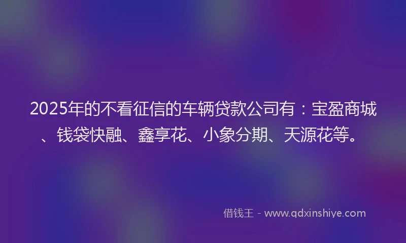 2025年的不看征信的车辆贷款公司有：宝盈商城、钱袋快融、鑫享花、小象分期、天源花等。