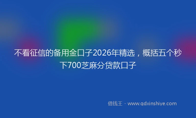不看征信的备用金口子2026年精选，概括五个秒下700芝麻分贷款口子