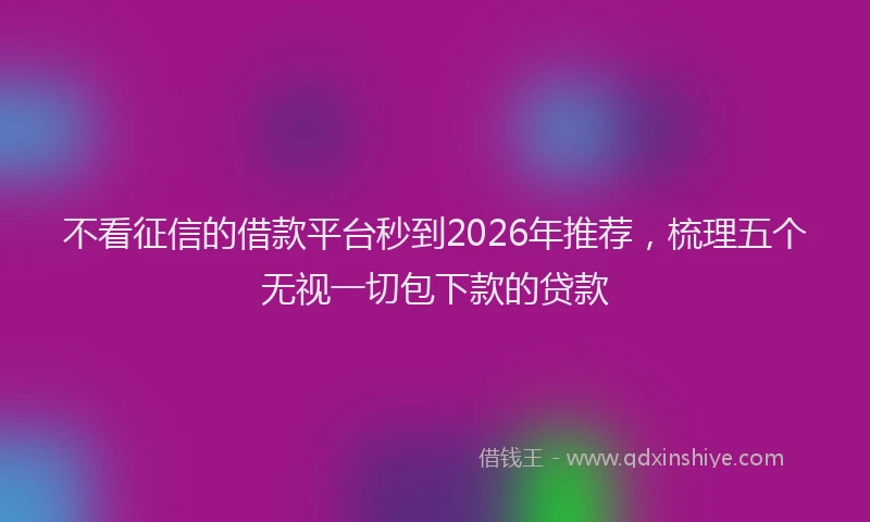 不看征信的借款平台秒到2026年推荐，梳理五个无视一切包下款的贷款