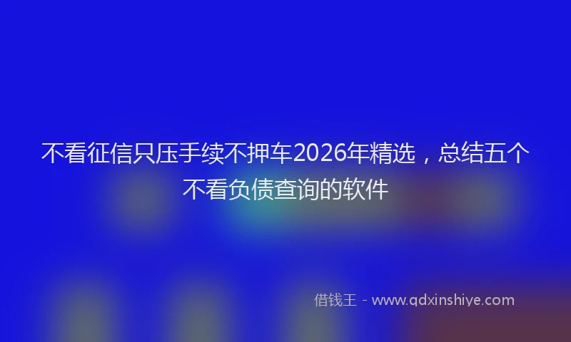 不看征信只压手续不押车2026年精选，总结五个不看负债查询的软件