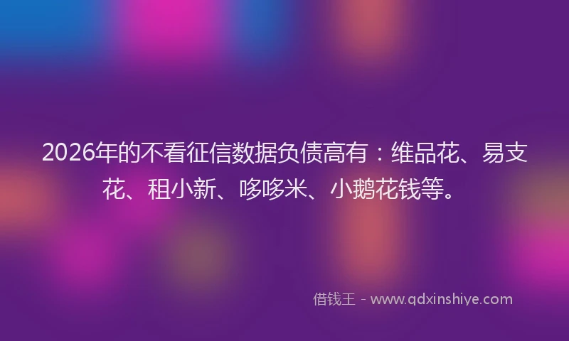 2026年的不看征信数据负债高有:维品花、易支花、租小新、哆哆米、小鹅花钱等。