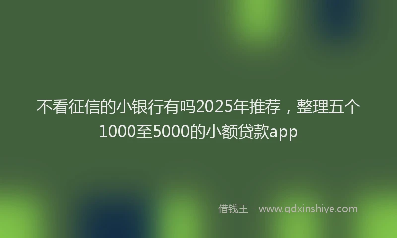 不看征信的小银行有吗2025年推荐,整理五个1000至5000的小额贷款app