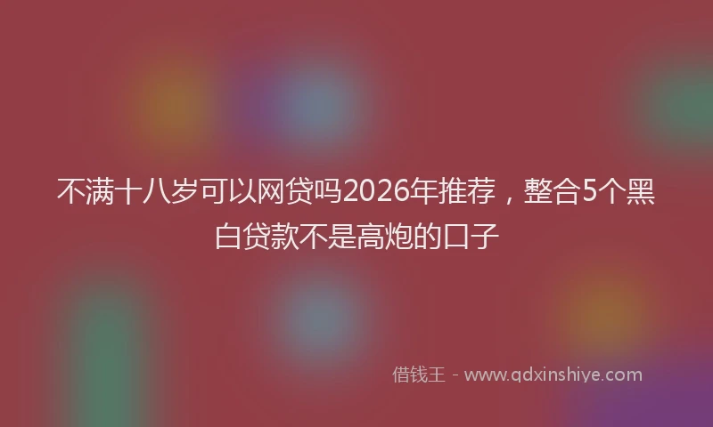 不满十八岁可以网贷吗2026年推荐，整合5个黑白贷款不是高炮的口子