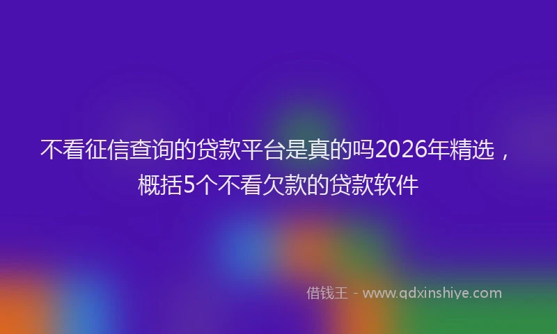 不看征信查询的贷款平台是真的吗2026年精选，概括5个不看欠款的贷款软件