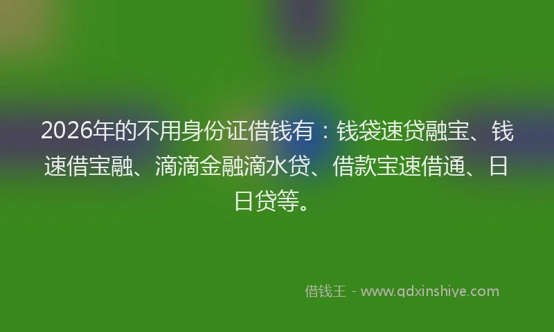 2026年的不用身份证借钱有：钱袋速贷融宝、钱速借宝融、滴滴金融滴水贷、借款宝速借通、日日贷等。