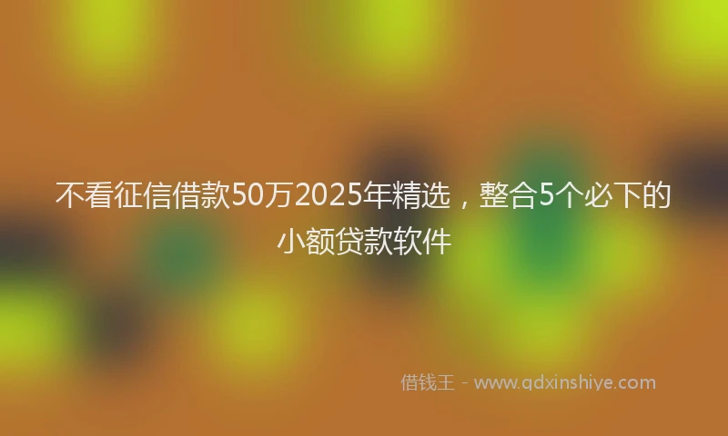 不看征信借款50万2025年精选，整合5个必下的小额贷款软件
