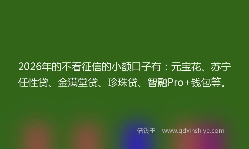 2026年的不看征信的小额口子有：元宝花、苏宁任性贷、金满堂贷、珍珠贷、智融Pro+钱包等。