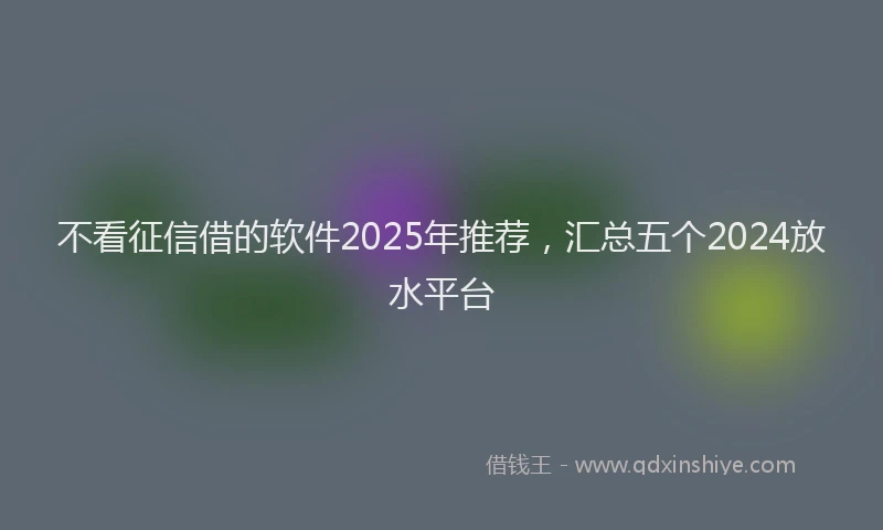 不看征信借的软件2025年推荐，汇总五个2024放水平台