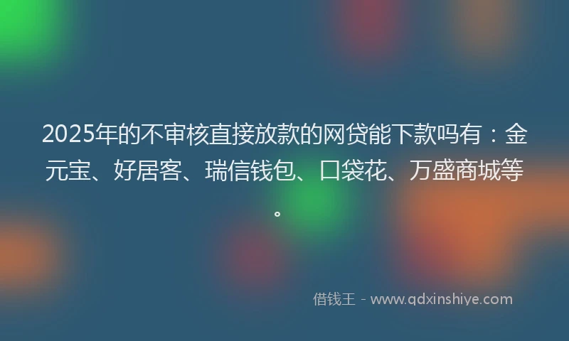 2025年的不审核直接放款的网贷能下款吗有：金元宝、好居客、瑞信钱包、口袋花、万盛商城等。