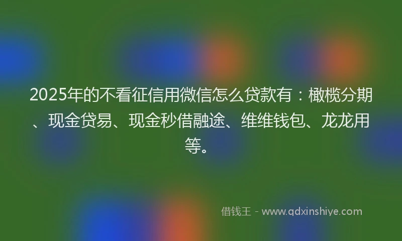 2025年的不看征信用微信怎么贷款有:橄榄分期、现金贷易、现金秒借融途、维维钱包、龙龙用等。