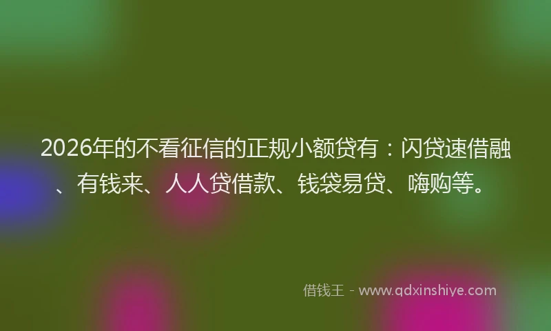2026年的不看征信的正规小额贷有：闪贷速借融、有钱来、人人贷借款、钱袋易贷、嗨购等。