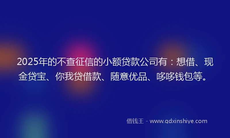 2025年的不查征信的小额贷款公司有:想借、现金贷宝、你我贷借款、随意优品、哆哆钱包等。