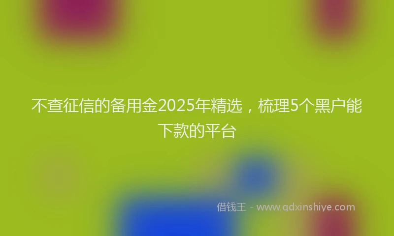 不查征信的备用金2025年精选，梳理5个黑户能下款的平台