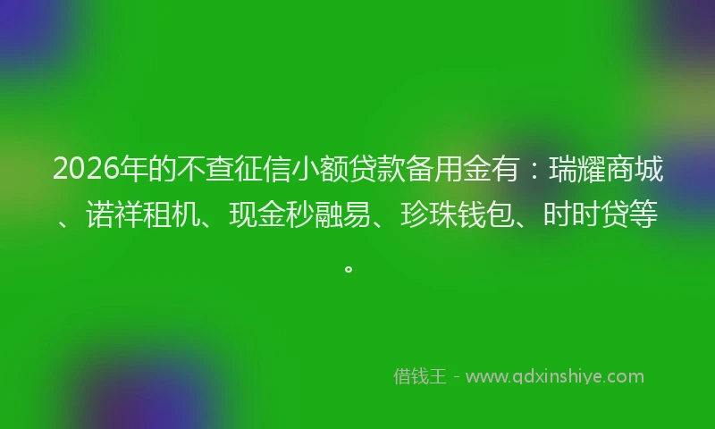 2026年的不查征信小额贷款备用金有：瑞耀商城、诺祥租机、现金秒融易、珍珠钱包、时时贷等。