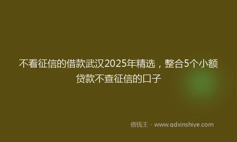 不看征信的借款武汉2025年精选，整合5个小额贷款不查征信的口子
