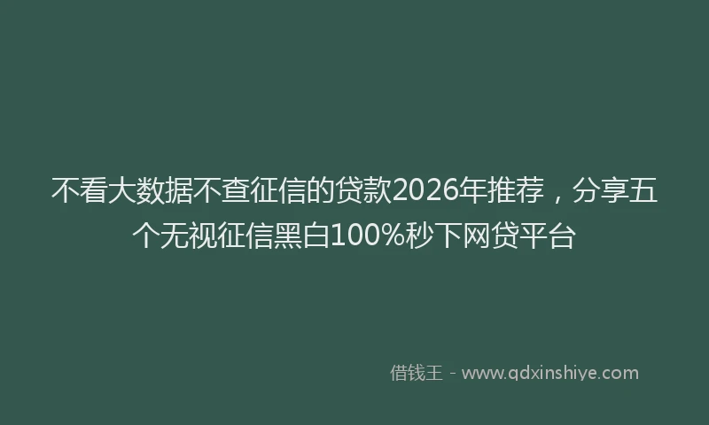 不看大数据不查征信的贷款2026年推荐，分享五个无视征信黑白100%秒下网贷平台
