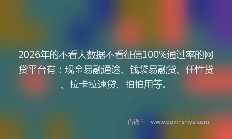 2026年的不看大数据不看征信100%通过率的网贷平台有:现金易融通途、钱袋易融贷、任性贷、拉卡拉速贷、拍拍用等。