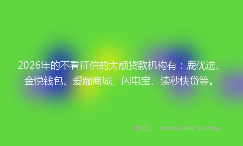 2026年的不看征信的大额贷款机构有：鹿优选、金悦钱包、爱蹦商城、闪电宝、读秒快贷等。
