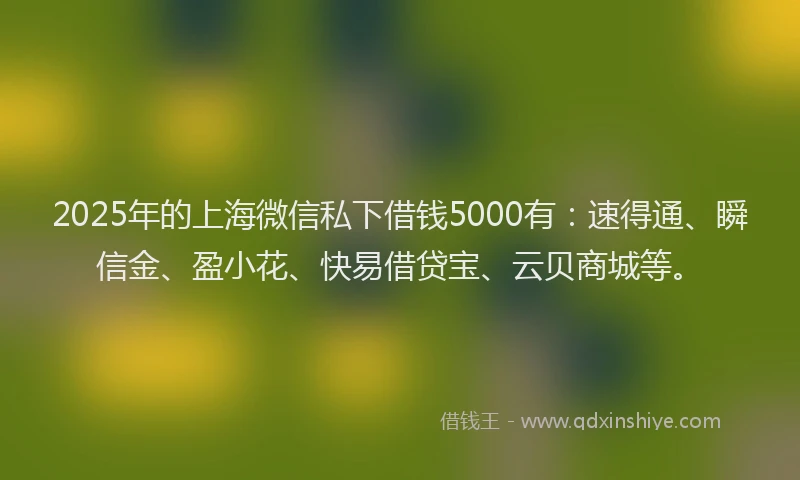 2025年的上海微信私下借钱5000有：速得通、瞬信金、盈小花、快易借贷宝、云贝商城等。