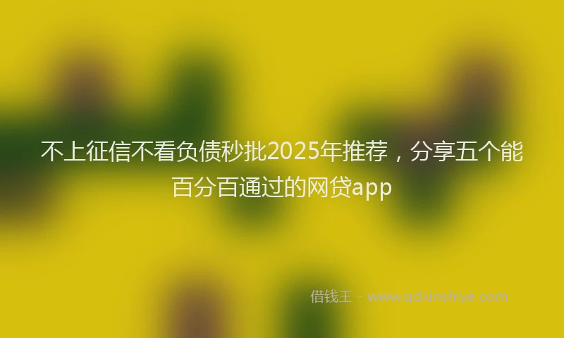 不上征信不看负债秒批2025年推荐，分享五个能百分百通过的网贷app