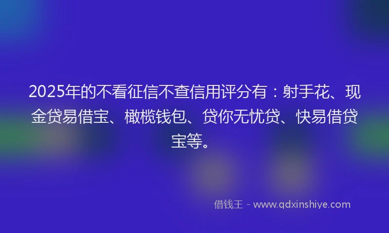 2025年的不看征信不查信用评分有：射手花、现金贷易借宝、橄榄钱包、贷你无忧贷、快易借贷宝等。