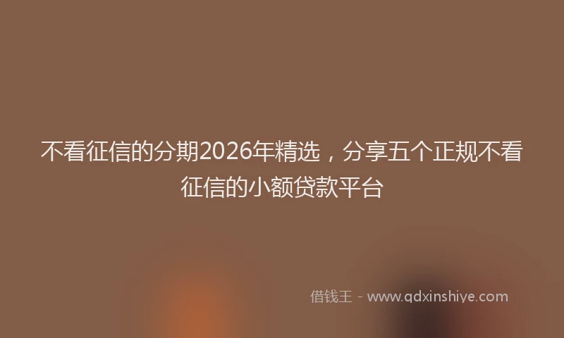 不看征信的分期2026年精选，分享五个正规不看征信的小额贷款平台