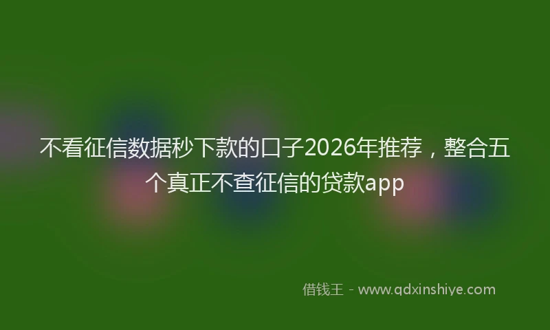 不看征信数据秒下款的口子2026年推荐，整合五个真正不查征信的贷款app