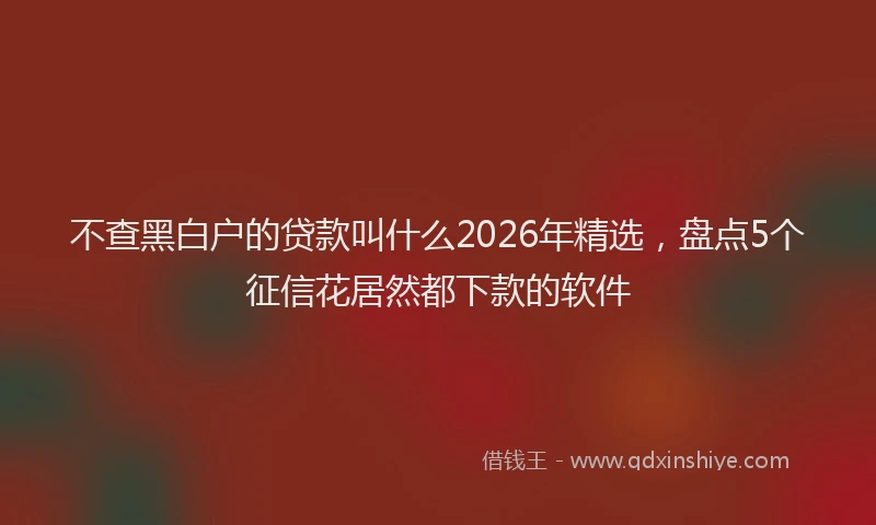 不查黑白户的贷款叫什么2026年精选，盘点5个征信花居然都下款的软件