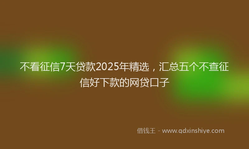 不看征信7天贷款2025年精选，汇总五个不查征信好下款的网贷口子