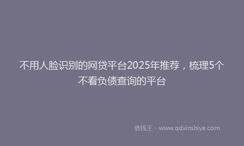 不用人脸识别的网贷平台2025年推荐,梳理5个不看负债查询的平台