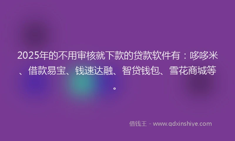 2025年的不用审核就下款的贷款软件有：哆哆米、借款易宝、钱速达融、智贷钱包、雪花商城等。