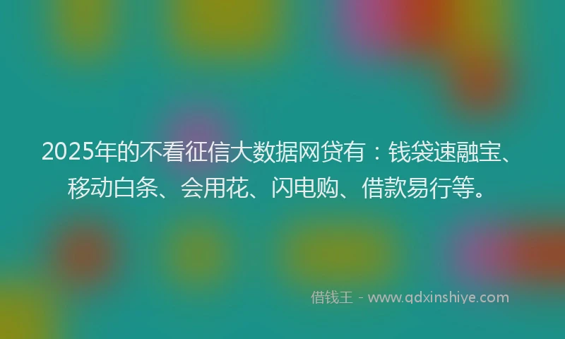 2025年的不看征信大数据网贷有：钱袋速融宝、移动白条、会用花、闪电购、借款易行等。