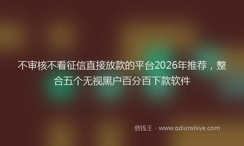 不审核不看征信直接放款的平台2026年推荐，整合五个无视黑户百分百下款软件